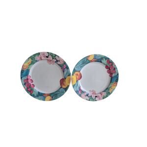 Vintage Mikasa Maxima Exotic Gardens Dinner Plates 10 1/2 Spring Picnic Set of 2